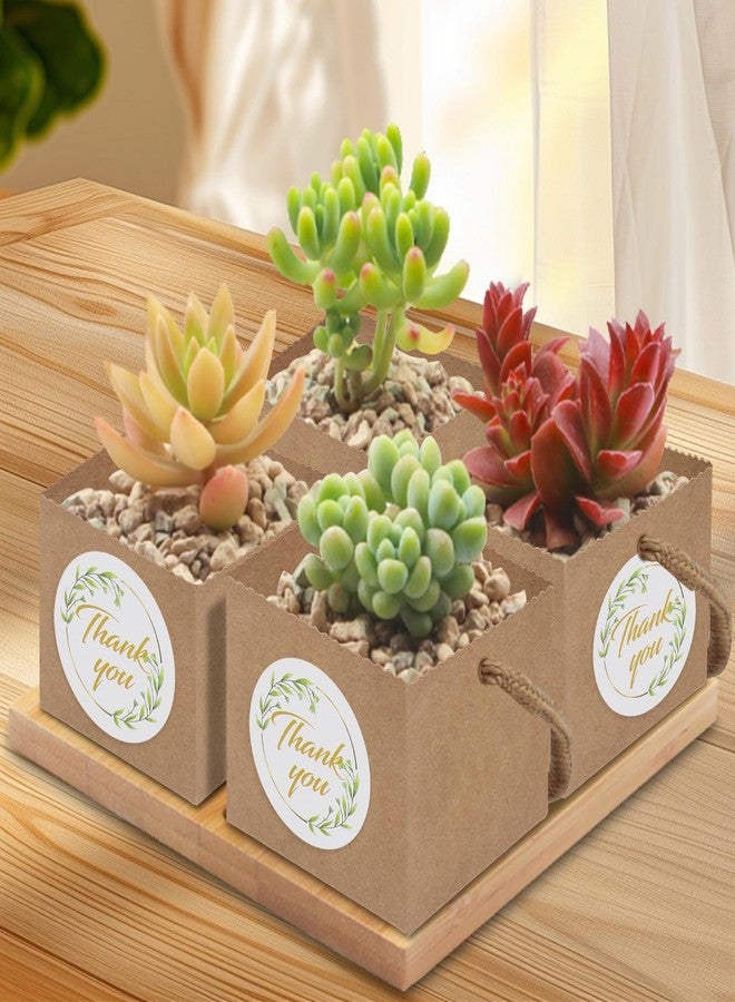 Beupy 60pcs Succulent Wrap Bags Bulk Fits 2.5 Inch Pots with Thank You Stickers, Mini Kraft Paper Succulent Gift Box Basket with Handles for Wedding, Baby Shower, Succulent Plants Party Favors for Guests - Image 4
